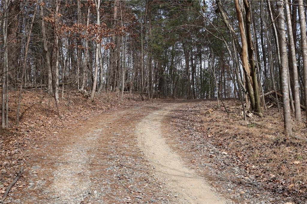 691 Epperson Church Road Mount Airy, NC 27030 - Photo 2 of 20 Driveway going into property