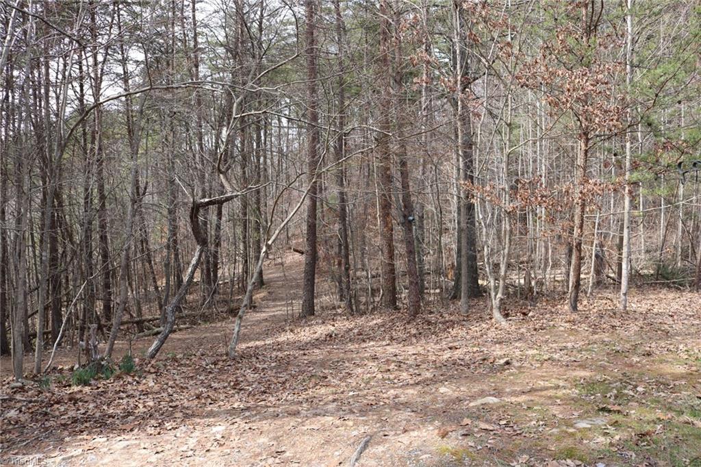 691 Epperson Church Road Mount Airy, NC 27030 - Photo 18 of 20 Beautiful wooded view