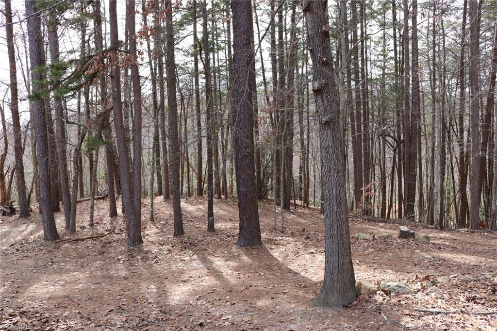 691 Epperson Church Road Mount Airy, NC 27030 - Photo 19 of 20 Circle drive