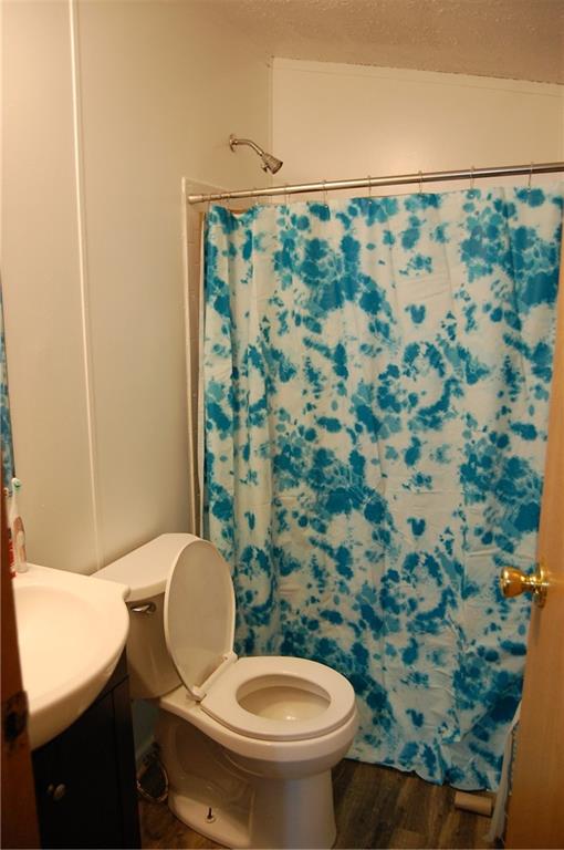 4053 Pioneer Lake Road Cherry Tree, PA 15724 - Photo 16 of 20 a bathroom with a toilet and a shower curtain