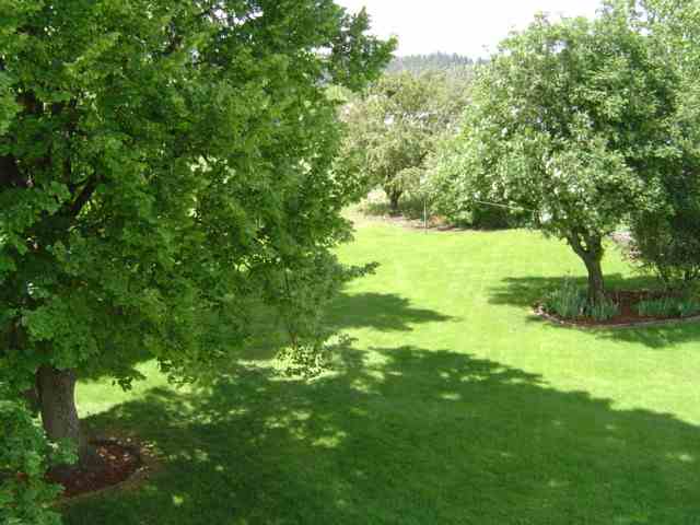 4507 North Evergreen Road Spokane, WA 99216 - Photo 3 of 9