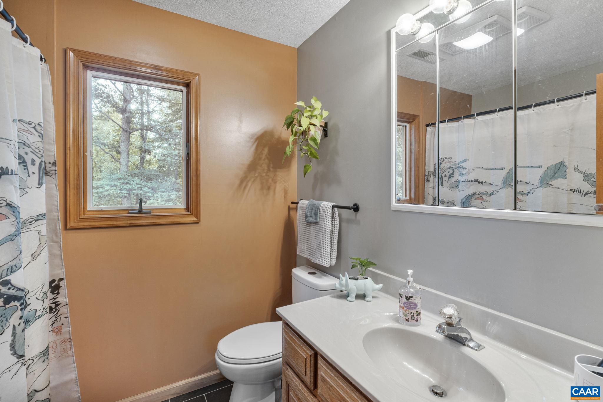 12 Amethyst Road Palmyra, VA 22963 - Photo 29 of 71 Gallery Image 29
