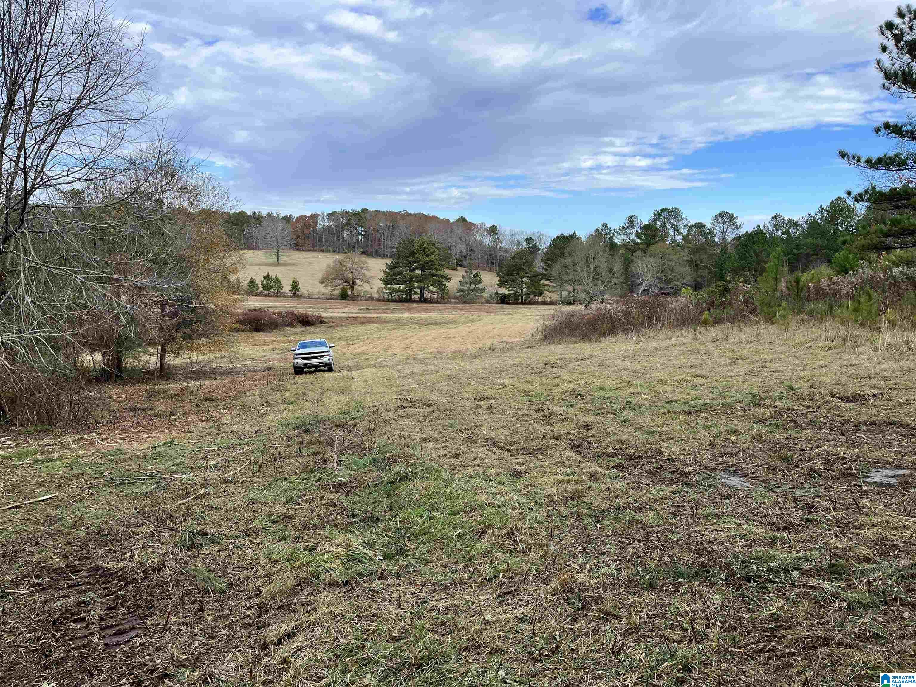 2020 Church Road, Unit 2020 Pell City, AL 35128 - Photo 3 of 16