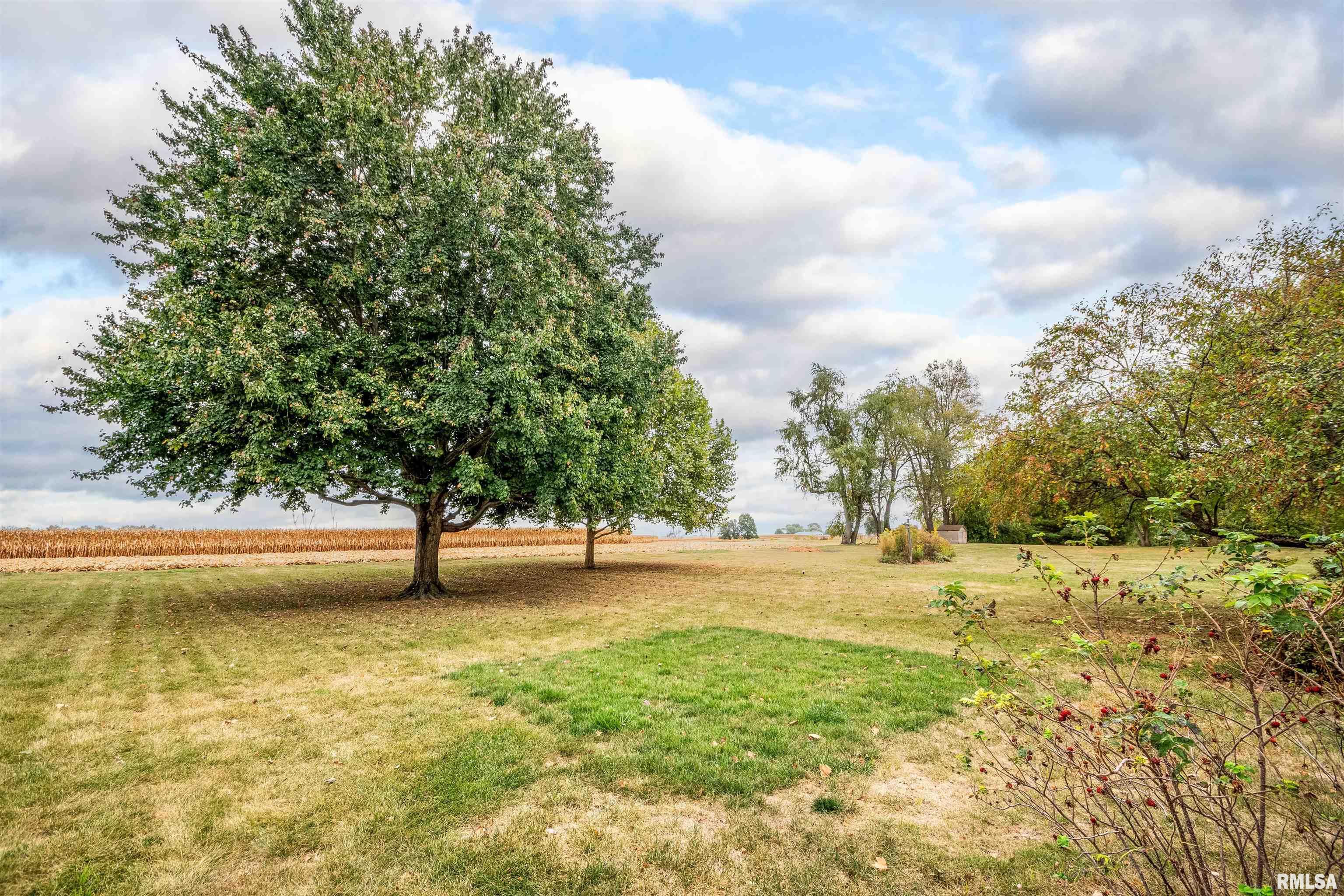 8320 North Blackbridge Road Edwards, IL 61528 - Photo 47 of 62 Gallery Image 47