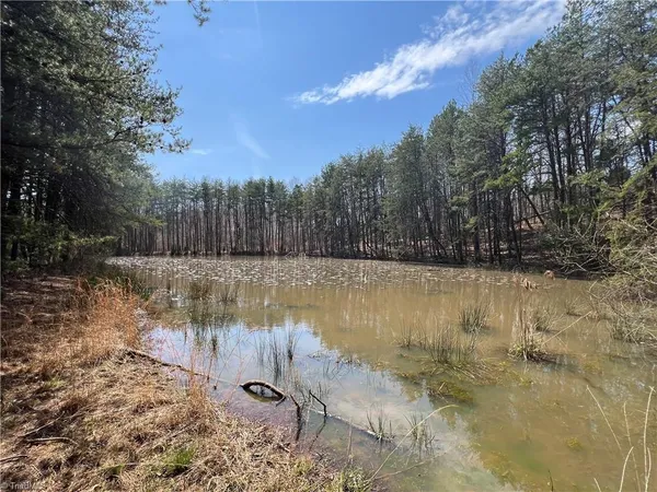 $450,000 | 44-ac Island Drive, Madison, NC 27025