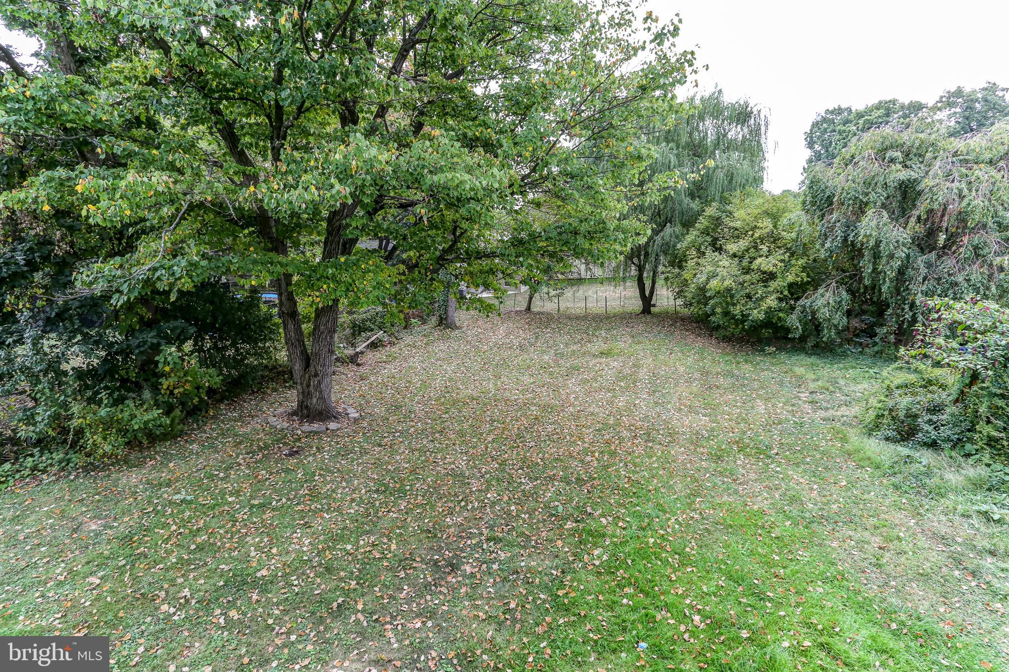212 Beaver Road, Unit 1 Harrisburg, PA 17112 - Photo 11 of 11 a view of a yard with a tree