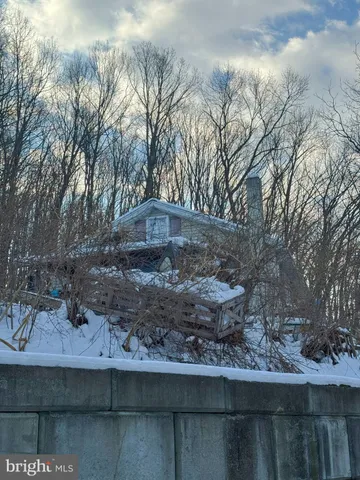 a view of a yard with large trees