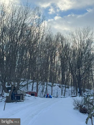 a view of road and trees