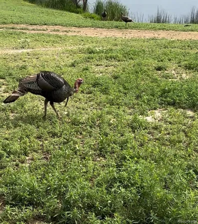 $1,350,000 | 4791 County Road 24 3/4, Longmont, CO 80504