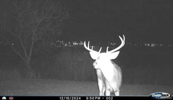 $1,350,000 | 4791 County Road 24 3/4, Longmont, CO 80504