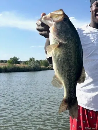 $1,350,000 | 4791 County Road 24 3/4, Longmont, CO 80504