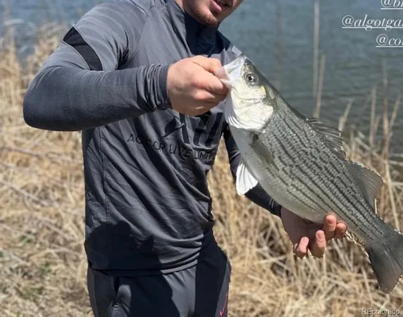 $1,350,000 | 4791 County Road 24 3/4, Longmont, CO 80504