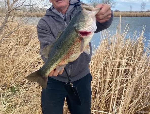 $1,350,000 | 4791 County Road 24 3/4, Longmont, CO 80504