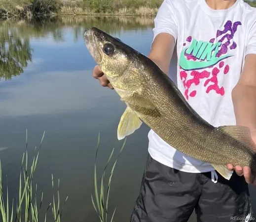 $1,350,000 | 4791 County Road 24 3/4, Longmont, CO 80504