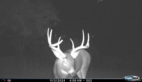 $1,350,000 | 4791 County Road 24 3/4, Longmont, CO 80504