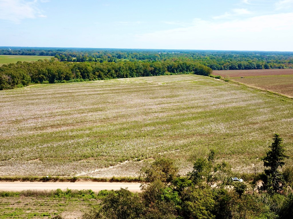 17.08-acres Underwood Mill Road Dothan, AL 36301 - Photo 9 of 12