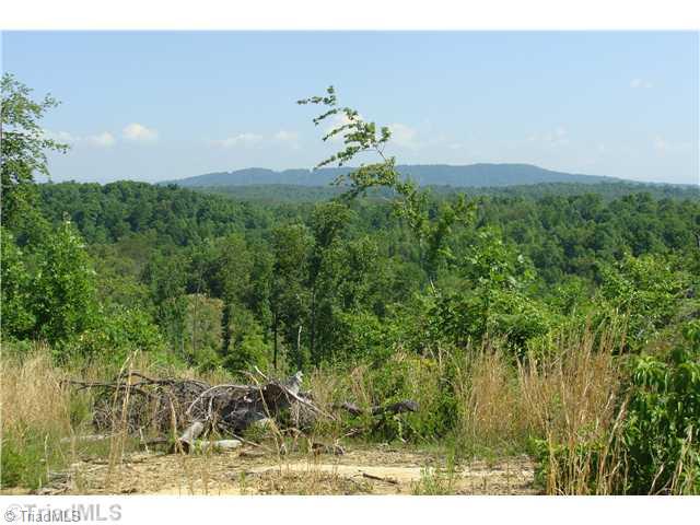 Tbd Rockhouse Road Pinnacle, NC 27043 - Photo 1 of 10 Land/Lot. Mountain Views One Side of Knoll