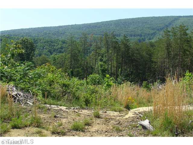 Tbd Rockhouse Road Pinnacle, NC 27043 - Photo 2 of 10 Land/Lot. Mountain View Another Angle