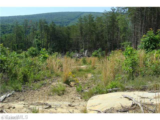 Tbd Rockhouse Road Pinnacle, NC 27043 - Photo 3 of 10 Land/Lot.