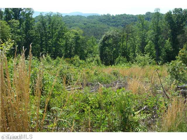 Tbd Rockhouse Road Pinnacle, NC 27043 - Photo 4 of 10 Land/Lot.
