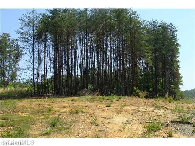 Tbd Rockhouse Road Pinnacle, NC 27043 - Photo 5 of 10 Land/Lot. Roadside View