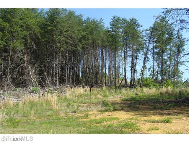 Tbd Rockhouse Road Pinnacle, NC 27043 - Photo 6 of 10 Land/Lot. Another Roadside View
