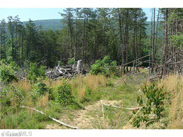 Tbd Rockhouse Road Pinnacle, NC 27043 - Photo 7 of 10 Land/Lot.
