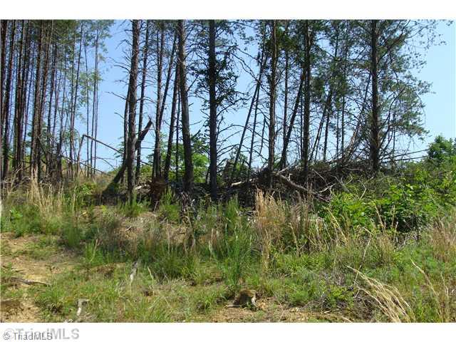 Tbd Rockhouse Road Pinnacle, NC 27043 - Photo 8 of 10 Land/Lot.