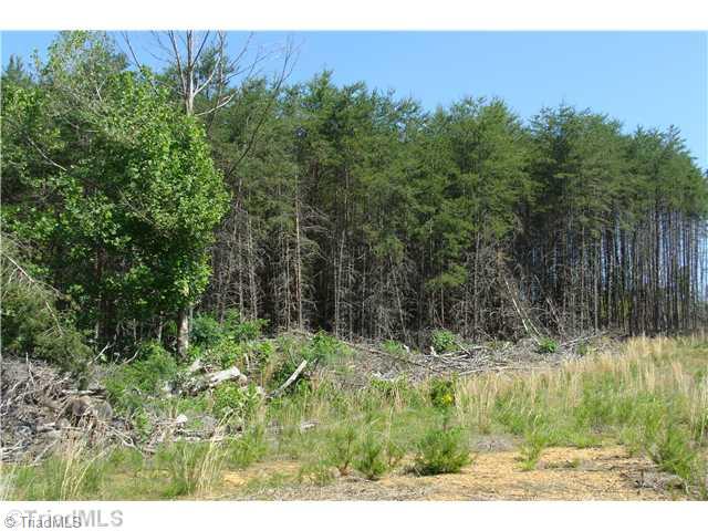 Tbd Rockhouse Road Pinnacle, NC 27043 - Photo 9 of 10 Land/Lot.