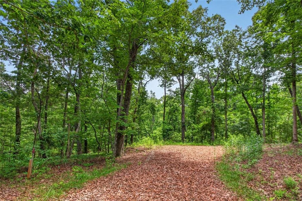 2022 Pleasant Union Road Canton, GA 30114 - Photo 7 of 17