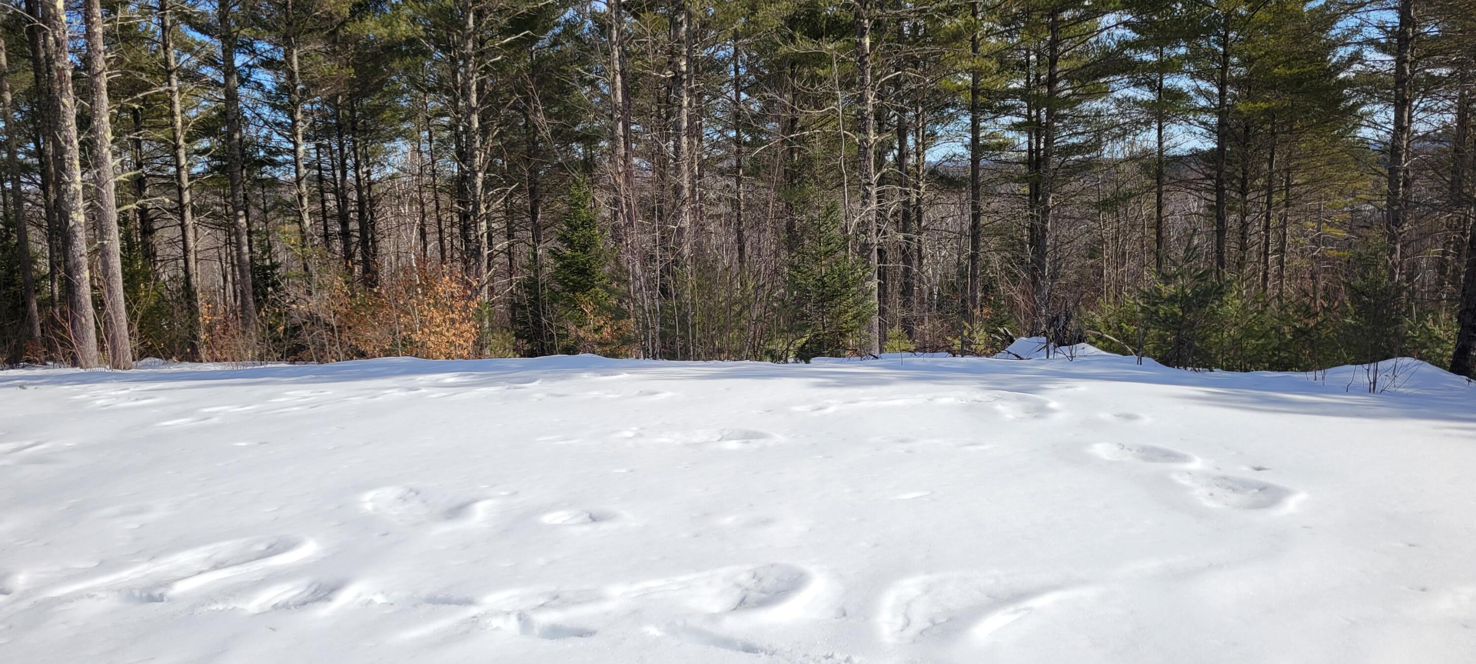 35 A Route Stow, ME 04037 - Photo 7 of 7 20230216_112027