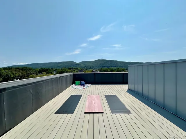a view of a balcony with wooden floor and a potted plant