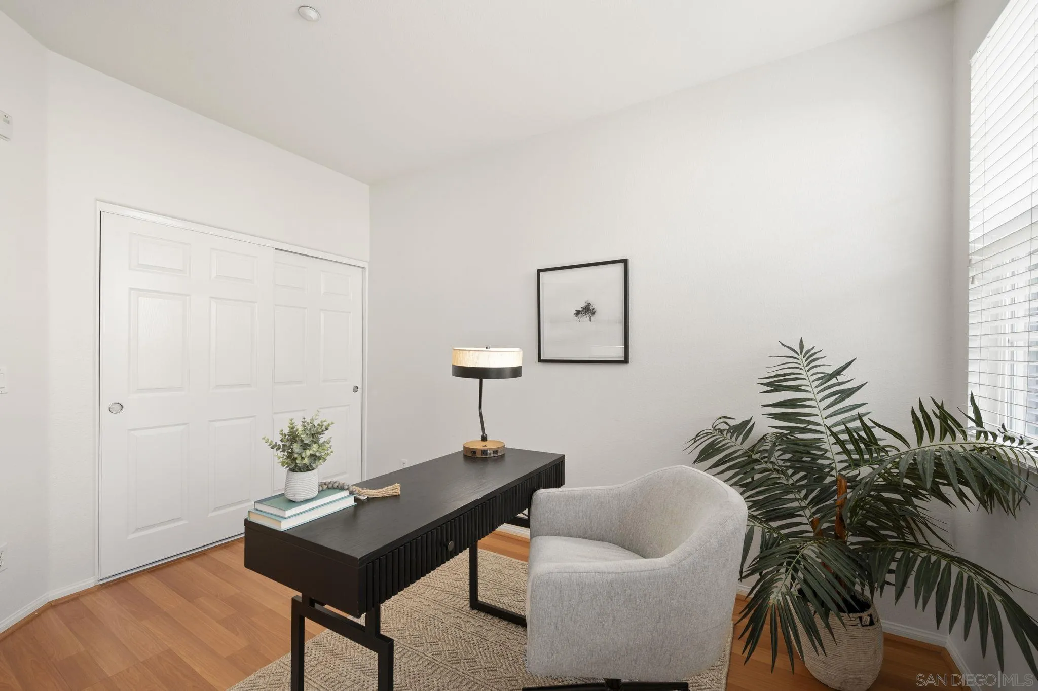 2847 Escala Circle San Diego, CA 92108 - Photo 13 of 35 a living room with furniture and a potted plant