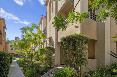 a plant that is in front of a door