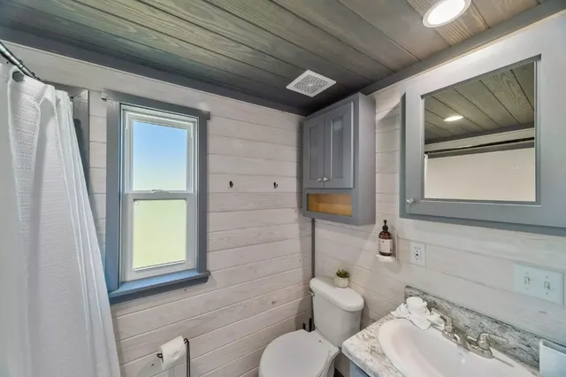 a bathroom with a toilet sink and mirror