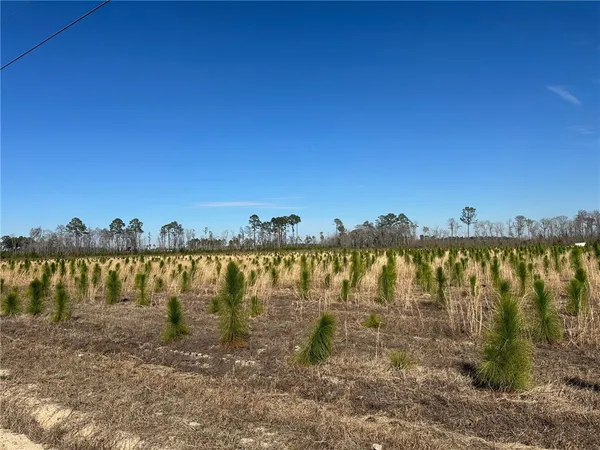 $28,600 | 10 Sellers Road Northwest, Baxley, GA 31513
