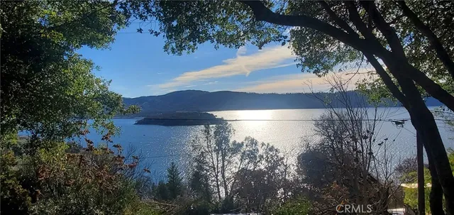 a view of a tree in a yard next to a building
