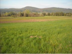 0 Black River Road Craftsbury, VT 05826 - Photo 2 of 4