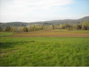 0 Black River Road Craftsbury, VT 05826 - Photo 4 of 4