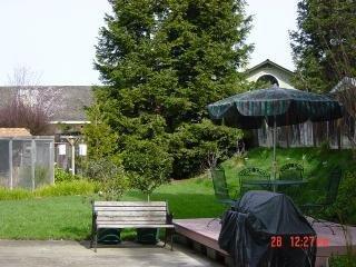 5687 Dempsey Place Santa Rosa, CA 95403 - Photo 3 of 10 Gallery Image 3