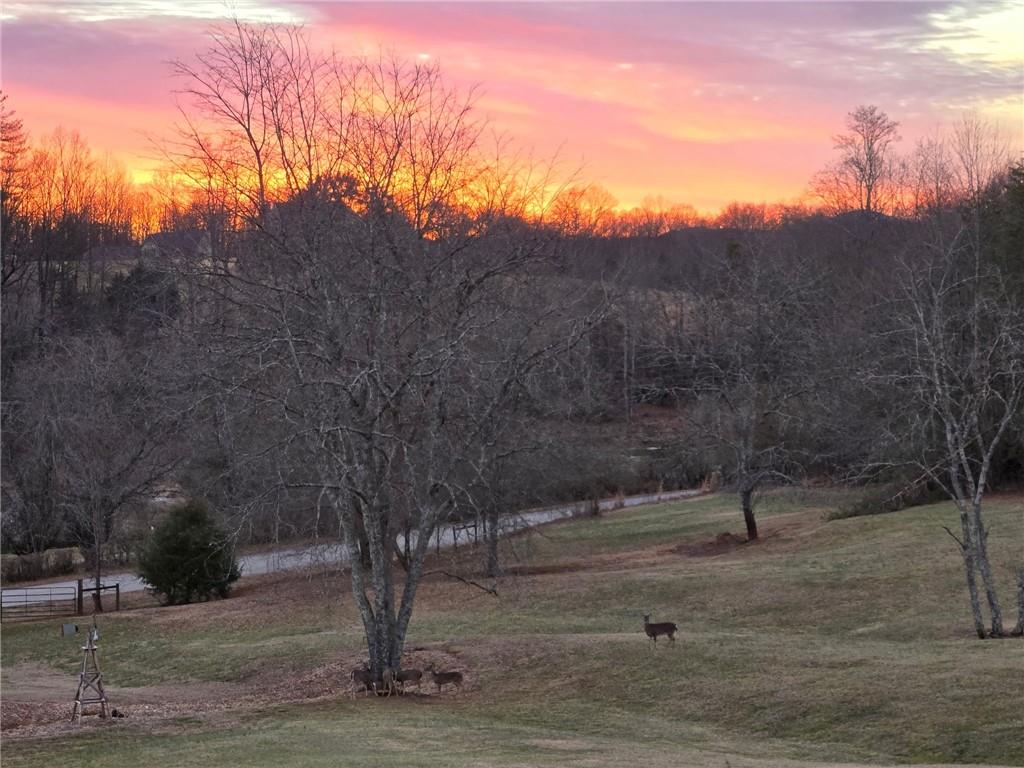 270 Boyd Wood Road Clarkesville, GA 30523 - Photo 57 of 72