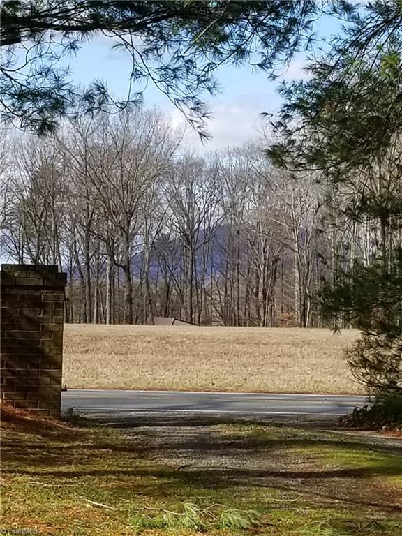 301 Trinity Church Road King, NC 27021 - Photo 3 of 23