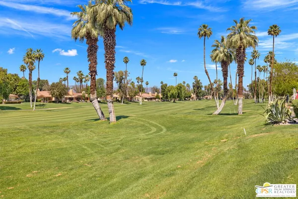 a view of a park with palm trees