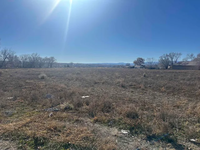 a view of a dry yard with wooden fence