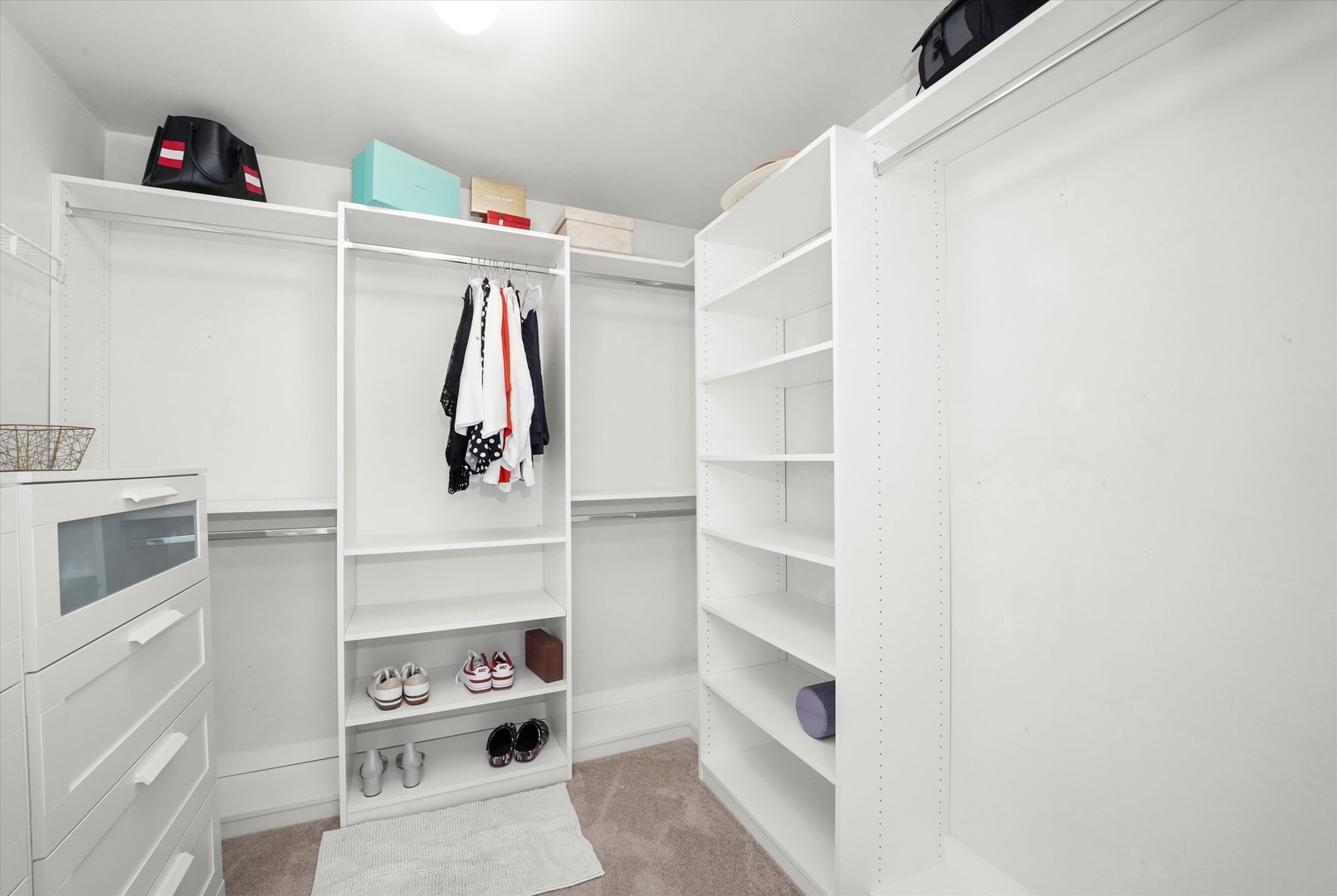 167 Forestview Court Aurora, IL 60502 - Photo 24 of 48 a view of walk in closet with empty racks