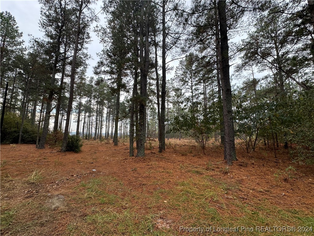 Dundee Circle Raeford, NC 28376 - Photo 1 of 4 Gallery Image 1