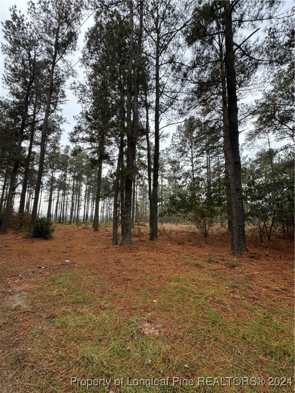 Dundee Circle Raeford, NC 28376 - Photo 2 of 4 Gallery Image 2