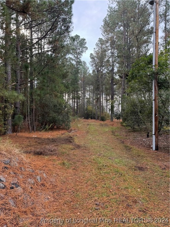 Dundee Circle Raeford, NC 28376 - Photo 3 of 4 Gallery Image 3