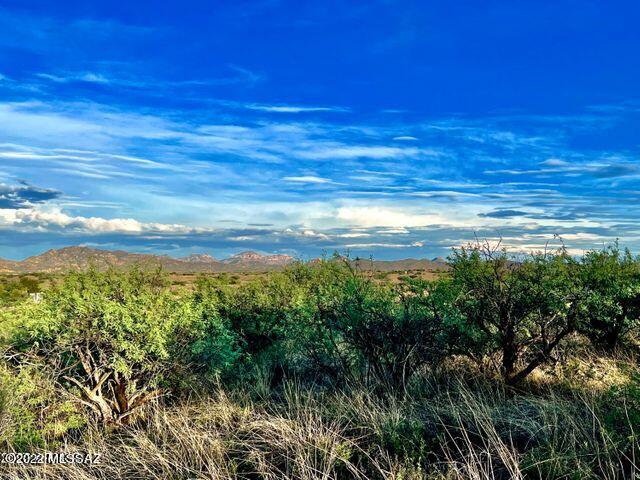 37905 South Grantham Ranch Road Arivaca, AZ 85601 - Photo 8 of 17 Gallery Image 8