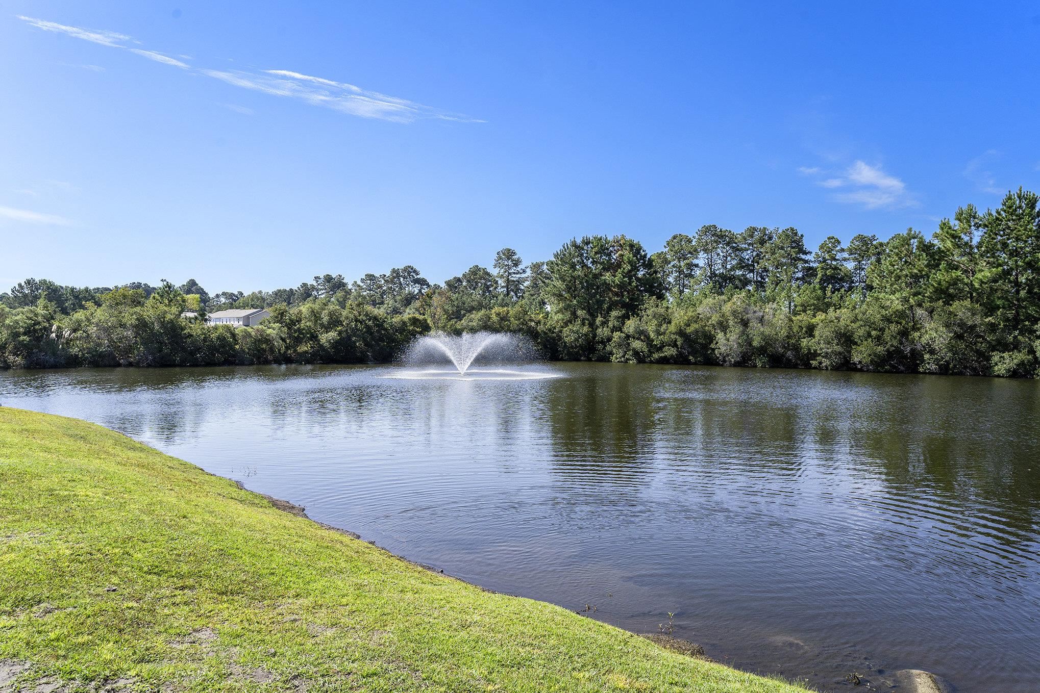 374 Kiskadee Loop, Unit 38L Conway, SC 29526 - Photo 22 of 40